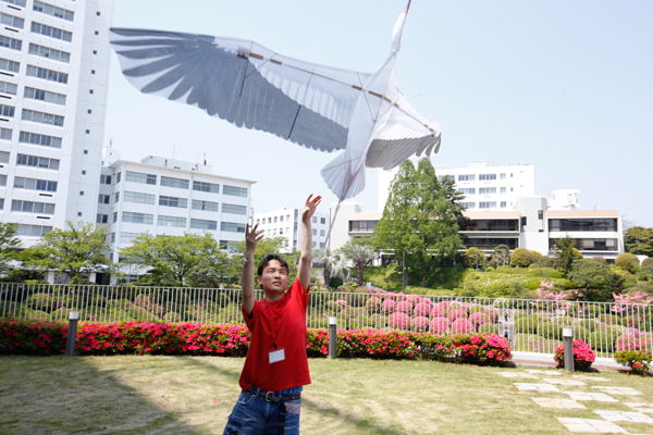 人力飛行機同好会「HIT SKY Project」は、鳥の形をした「バイオカイト」を飛ばしていました。人力飛行機同好会は、今年の夏に開催される「鳥人間コンテスト」に初出場する予定です。