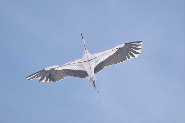 ガーデンプラザではバイオカイトの飛行実演を披露。流体力学を活かしたカイト（凧）はわずかな風でも空高く舞い上がります。