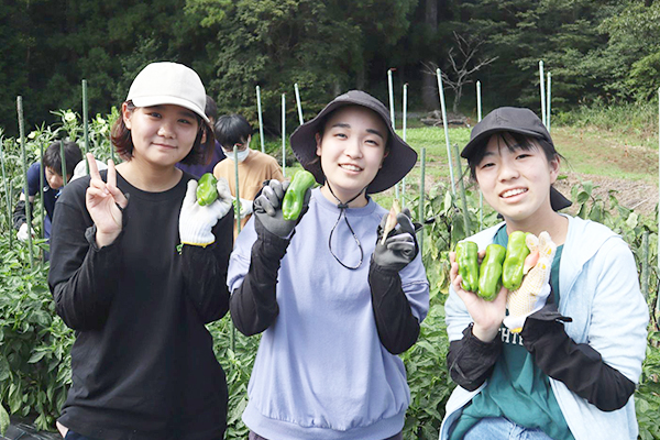 マルシェ・メニュー開発プロジェクト