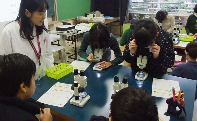 工学女子は本当に理系が苦手？「女子枠」とアンコンシャス・バイアスから考える進路選択