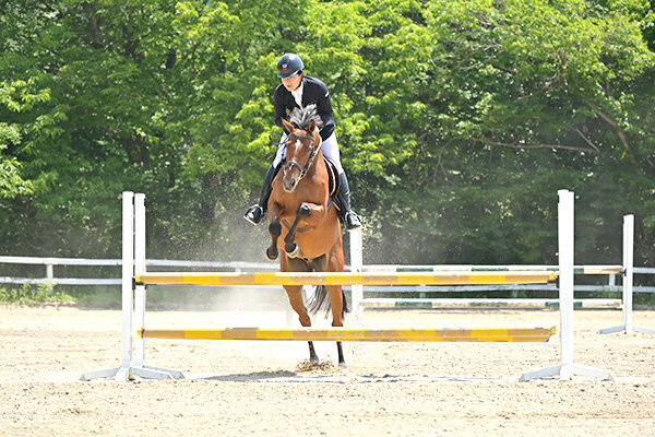 広島工業大学馬術部の学生が、馬術を披露