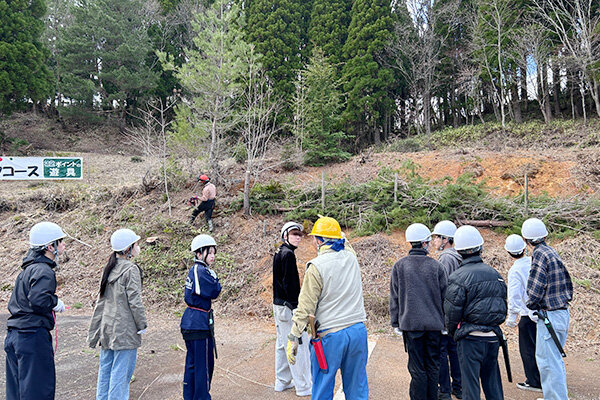 もみのき森林公園での間伐体験